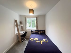 Photo 13- click for photo gallery